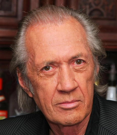 Дэвид Кэрредин